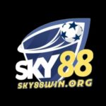 SKY 88