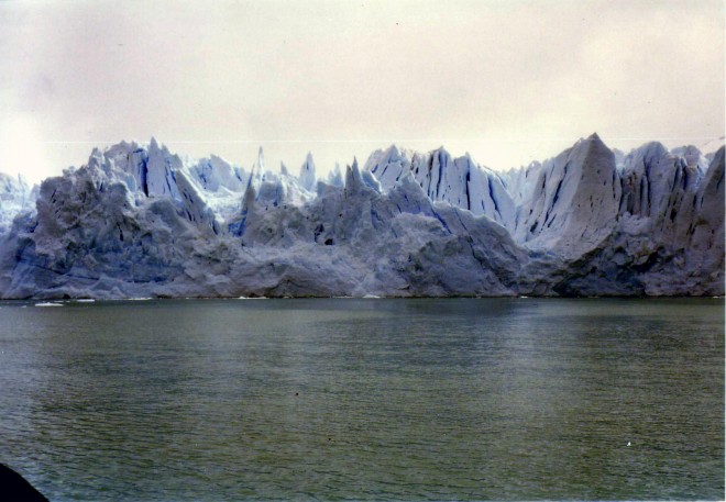 Calafate0024