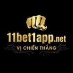 11bet1appnet