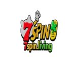 7SPIN