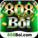 808boiorg