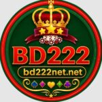 bd222netnet