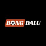 bongdaluvipfun1