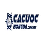 CÁ CƯỢC BÓNG ĐÁ