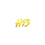 CEO H13