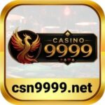 CSN9999 NET