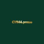 CV666