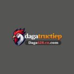 daga628.cn.com Đối Tác Trực Tiếp Trường Gà Thomo 67 & 99