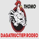 Đá gà trực tiếp