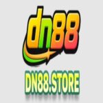 DN88