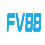 fv88store