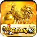 Sân Chơi GAVANGTV