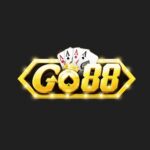 go8838com1