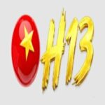 h13so