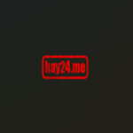 Hay24