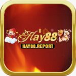HAY88