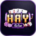 HAYWIN