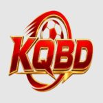kqbdkiwi1