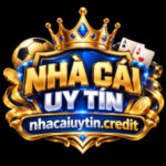 nhacaiuytincredit