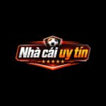 nhacaiuytinnhatvietnamcom