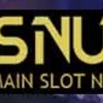 PPSNUSA Login Judi Slot Spadegaming RTP Live Kredibel Resmi