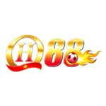 qh88diy1
