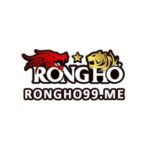 RONGHO99