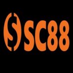 sc88market3