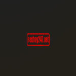 Sexhay247
