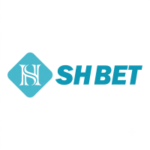 shbet800com1