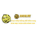 socolive2camm1