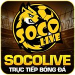 Socolive360 Net