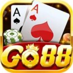 taigo88is