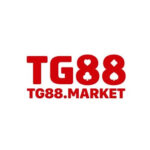tg88