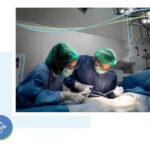 general gynaecologist