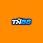 tn88new