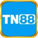 tn88store