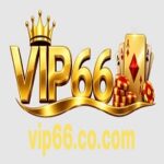 VIP66