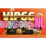 VIP66