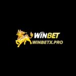 winbetinnet