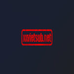 Xxvietsub net